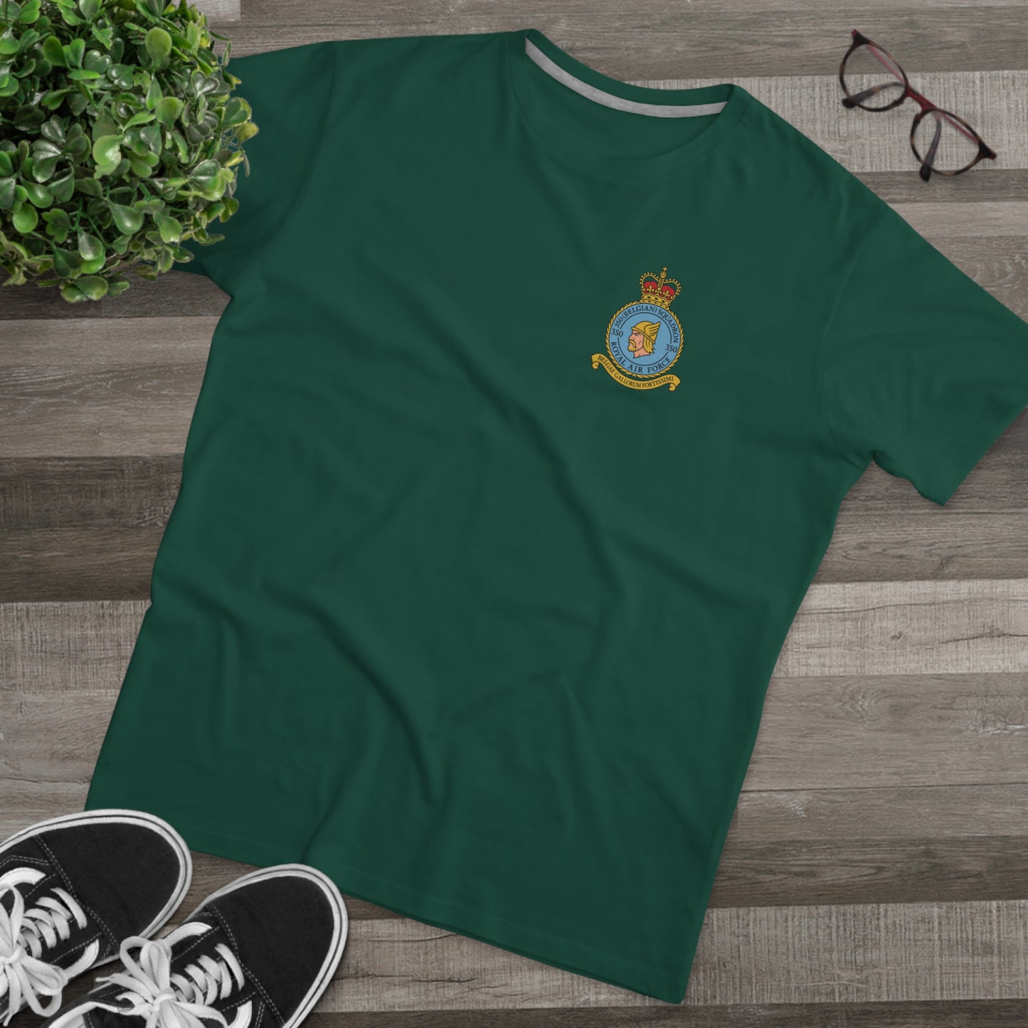 350th Squadron