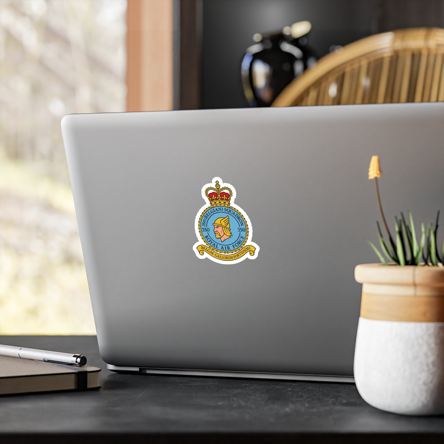 350th Squadron Sticker