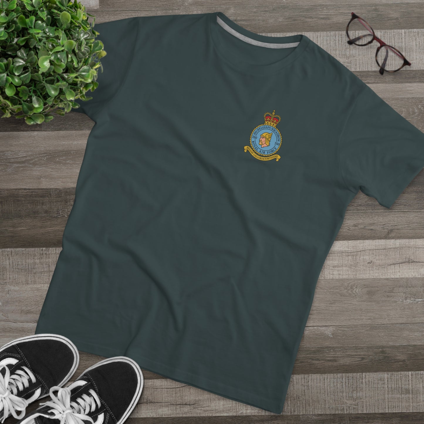 350th Squadron