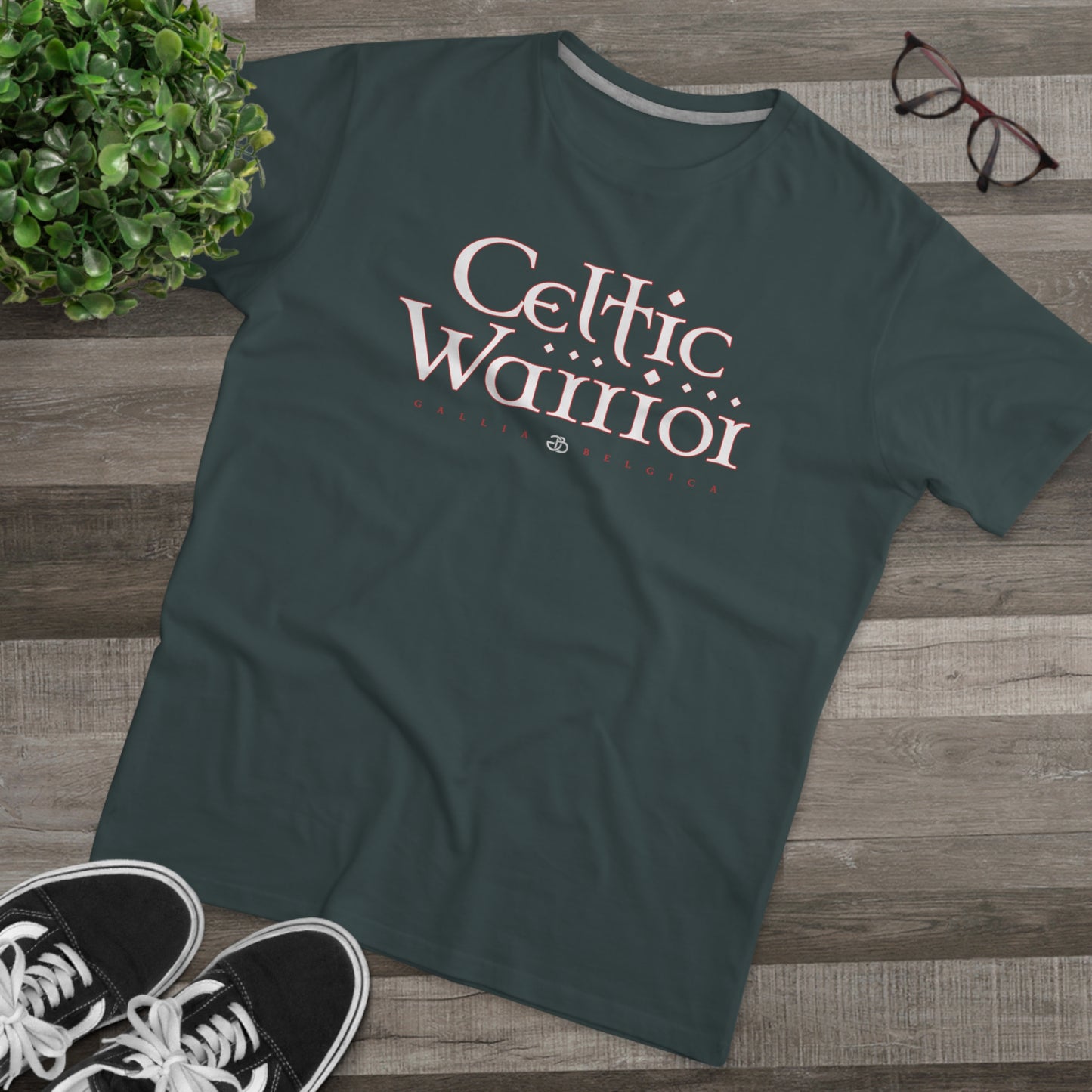 Celtic Warrior