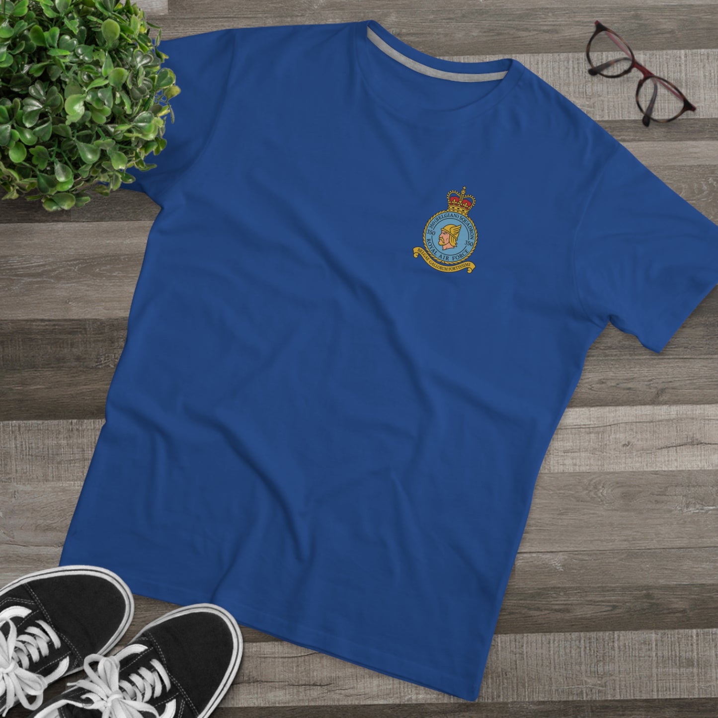 350th Squadron