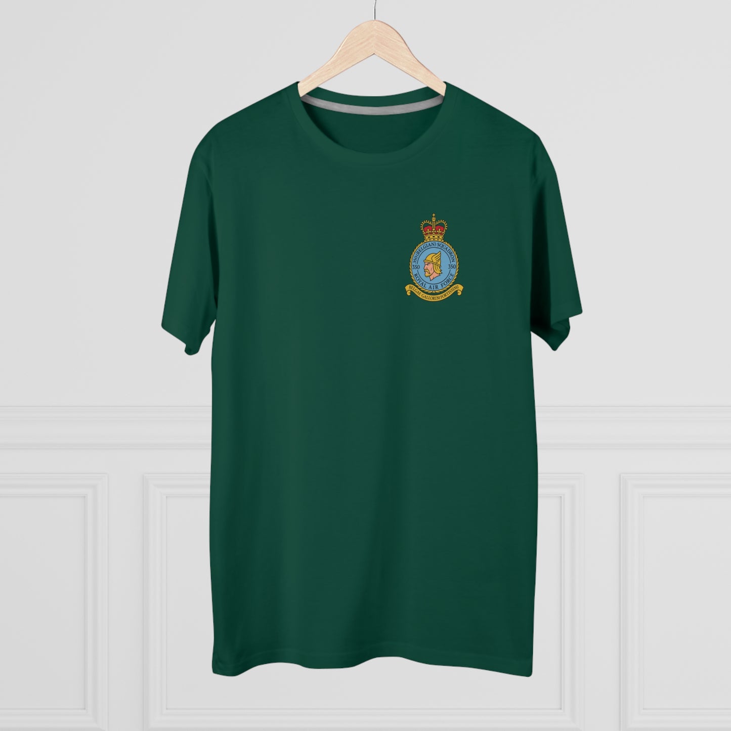 350th Squadron