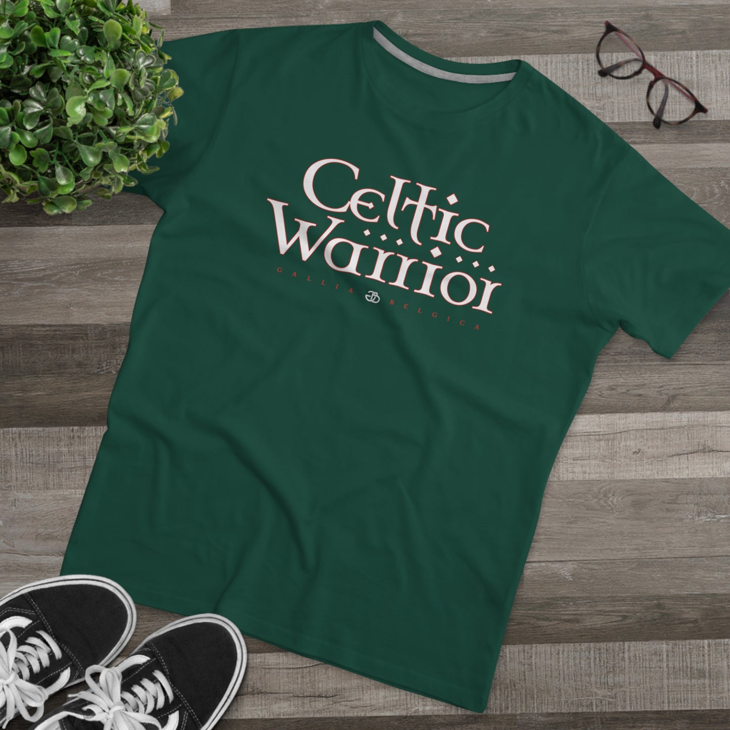 Celtic Warrior
