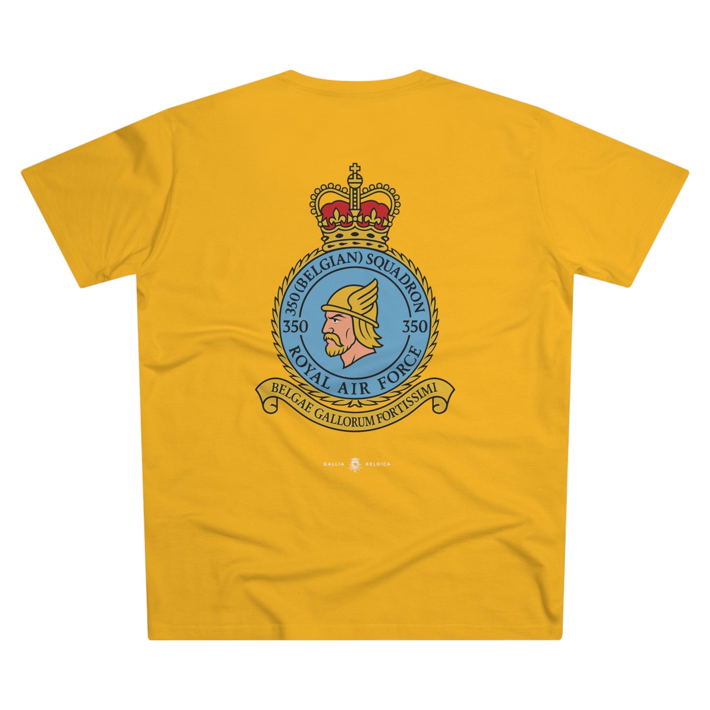 350th Squadron