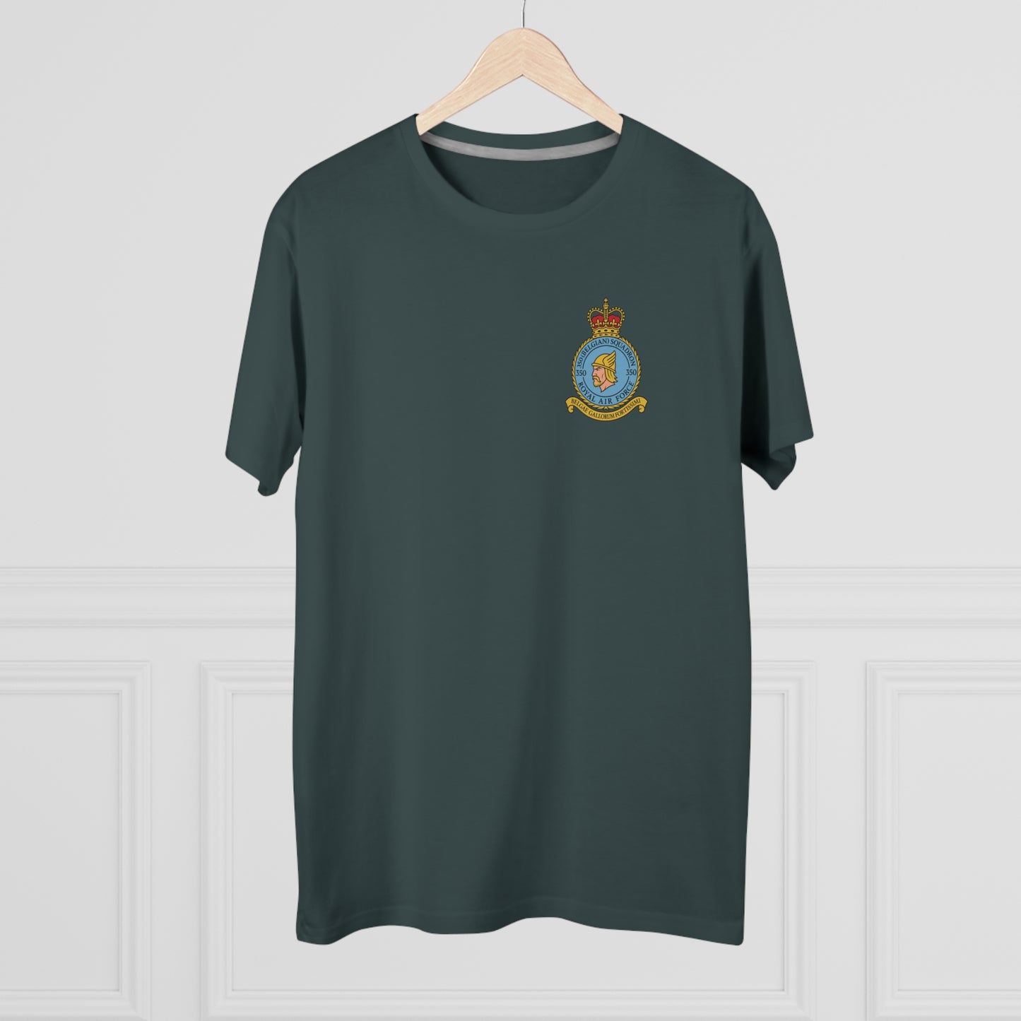 350th Squadron