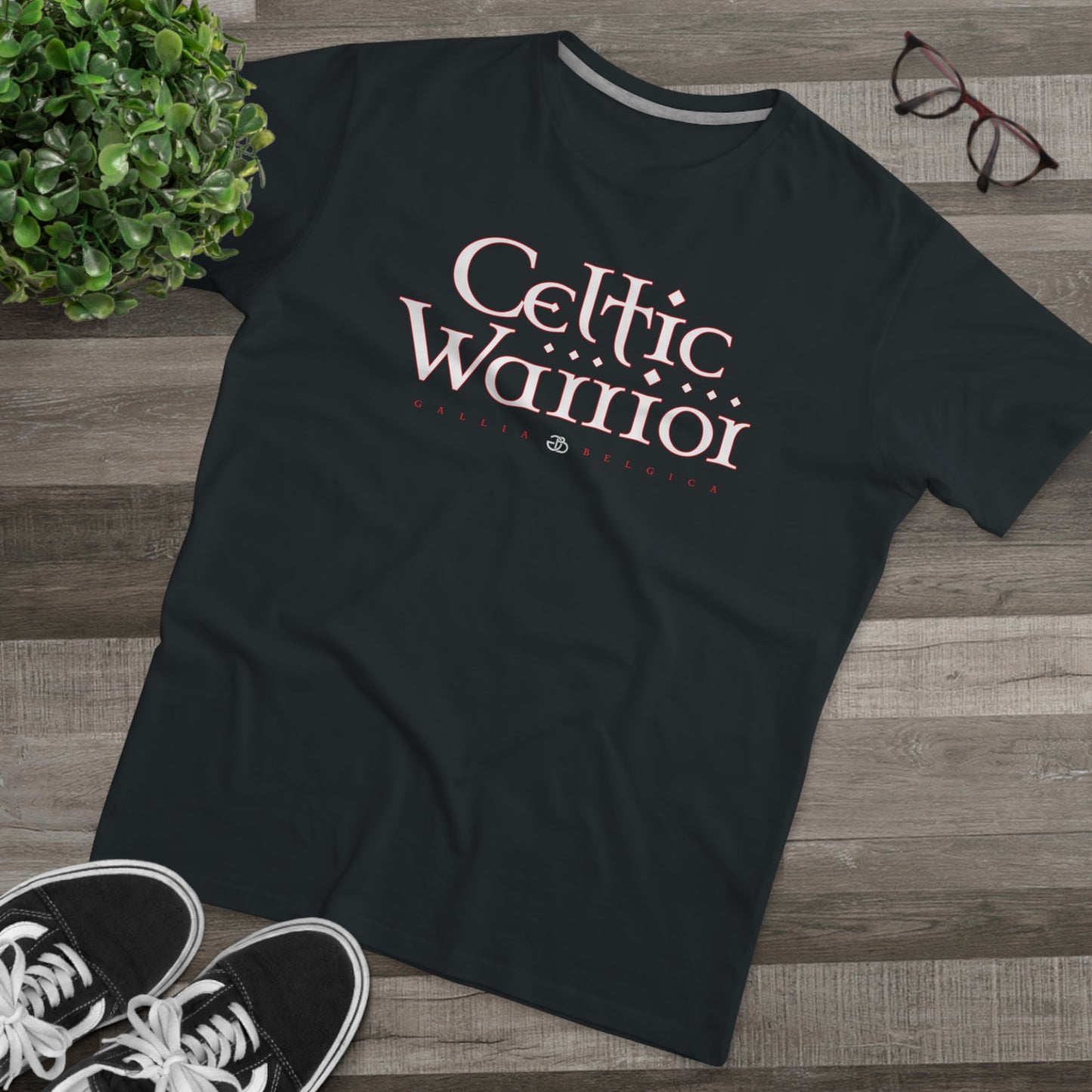 Celtic Warrior