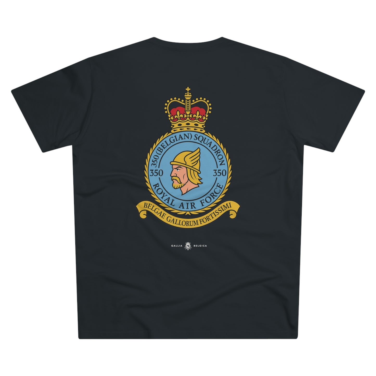 350th Squadron