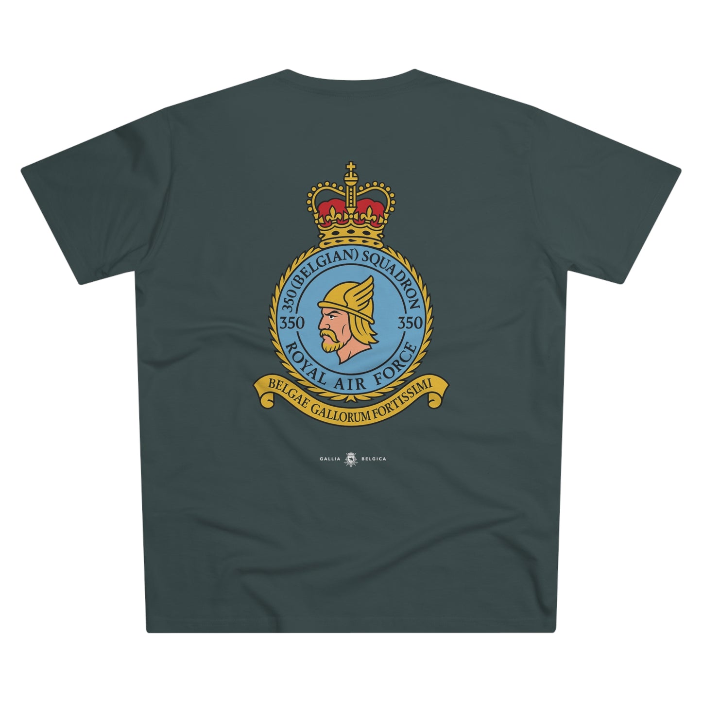 350th Squadron