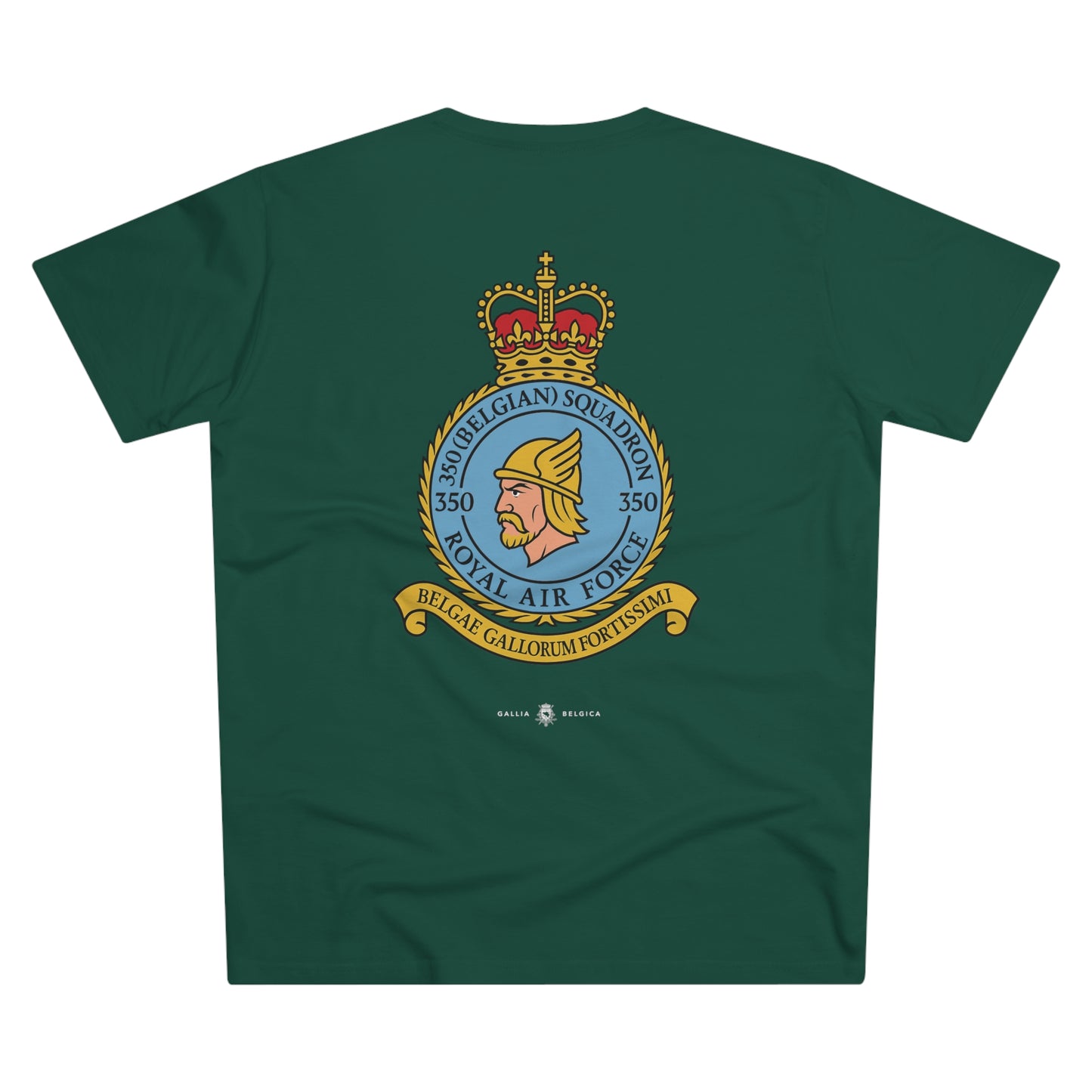 350th Squadron