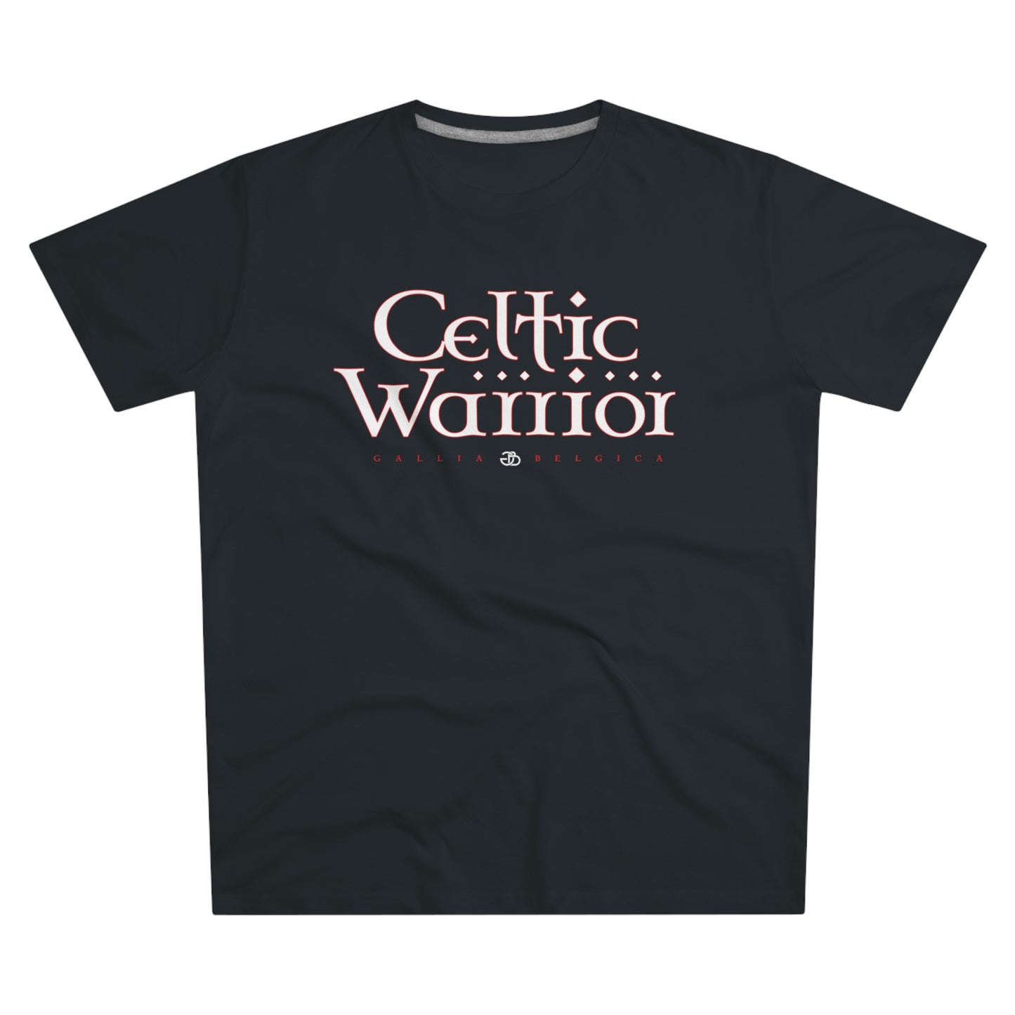 Celtic Warrior