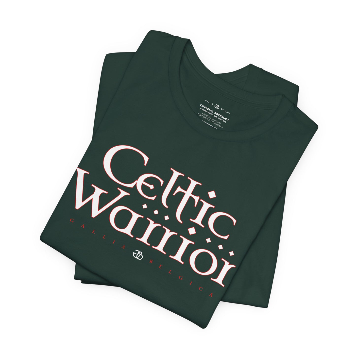 Celtic Warrior