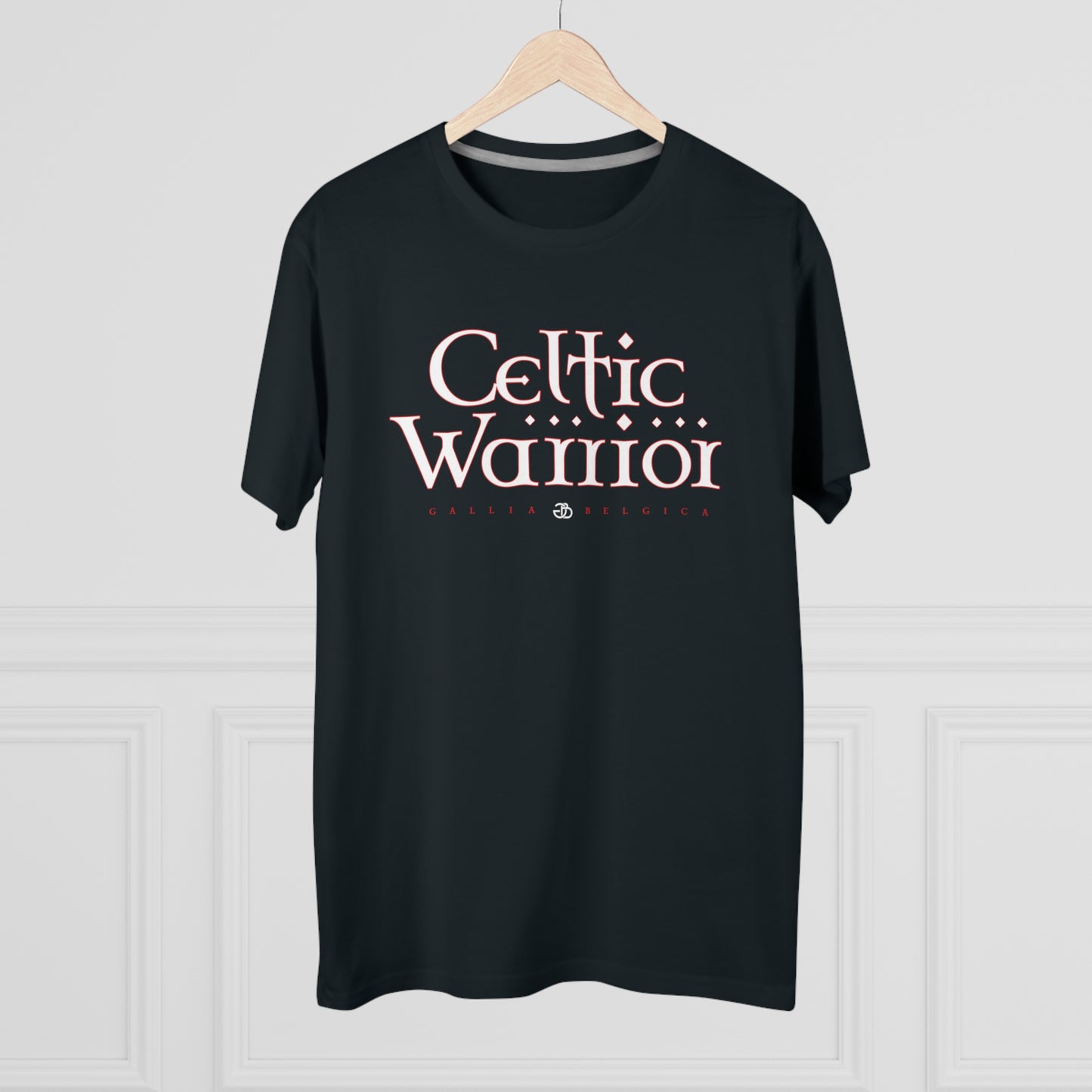 Celtic Warrior