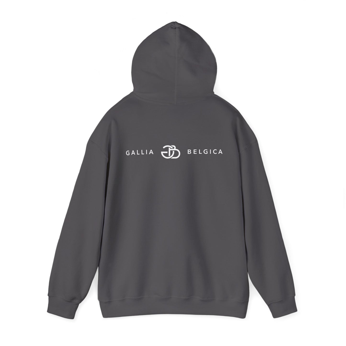 Ambiorix Hoodie