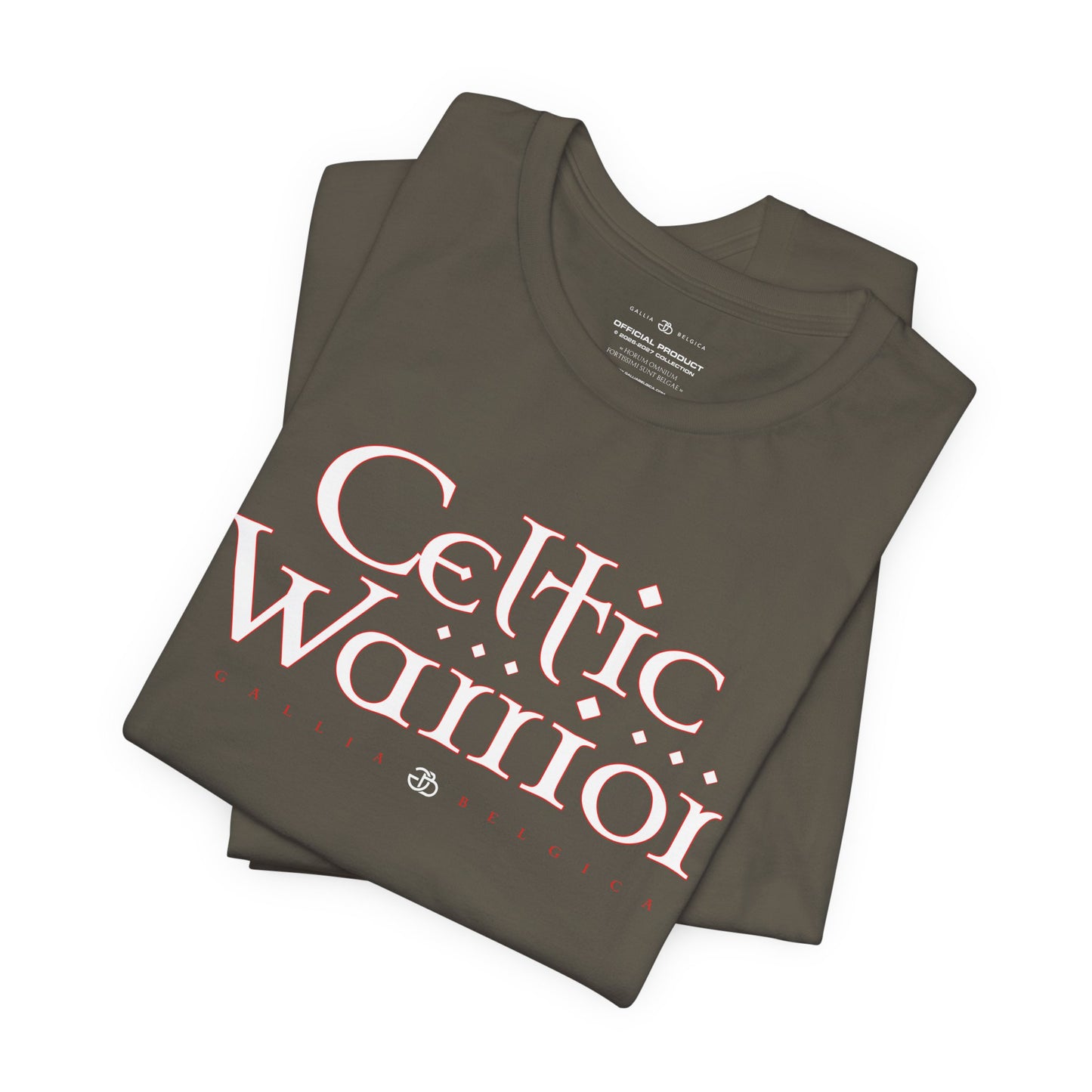 Celtic Warrior