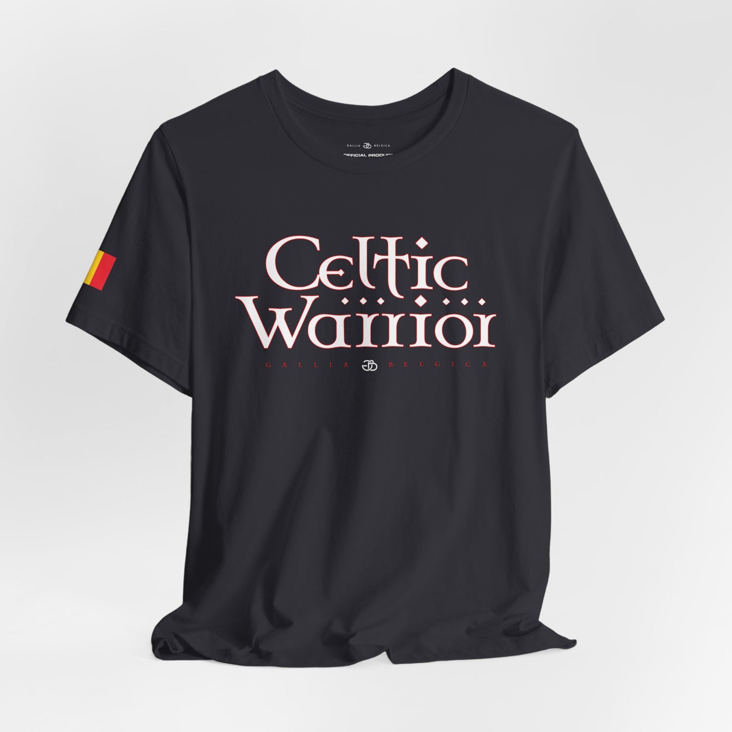 Celtic Warrior