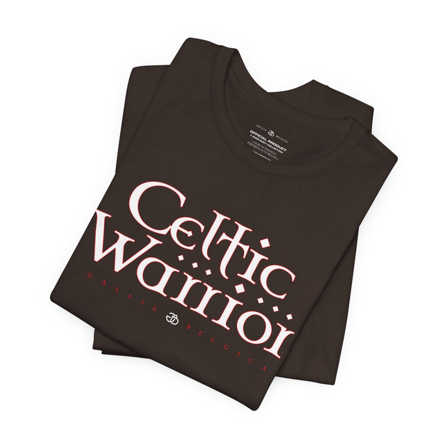 Celtic Warrior
