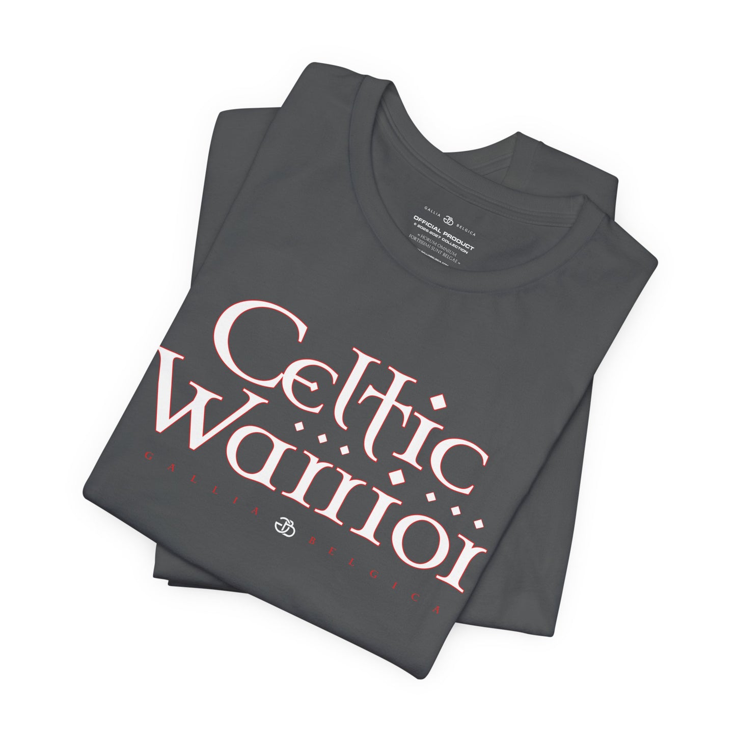 Celtic Warrior