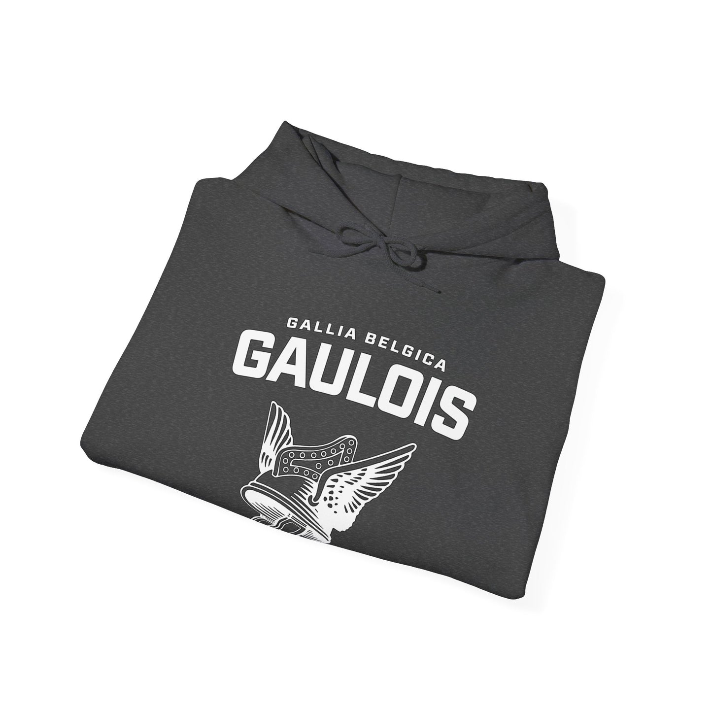 Gaulois Hoodie