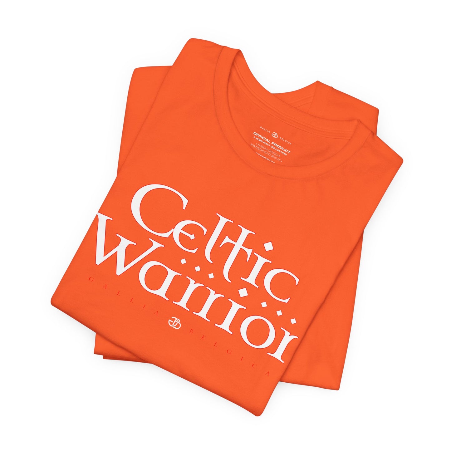 Celtic Warrior