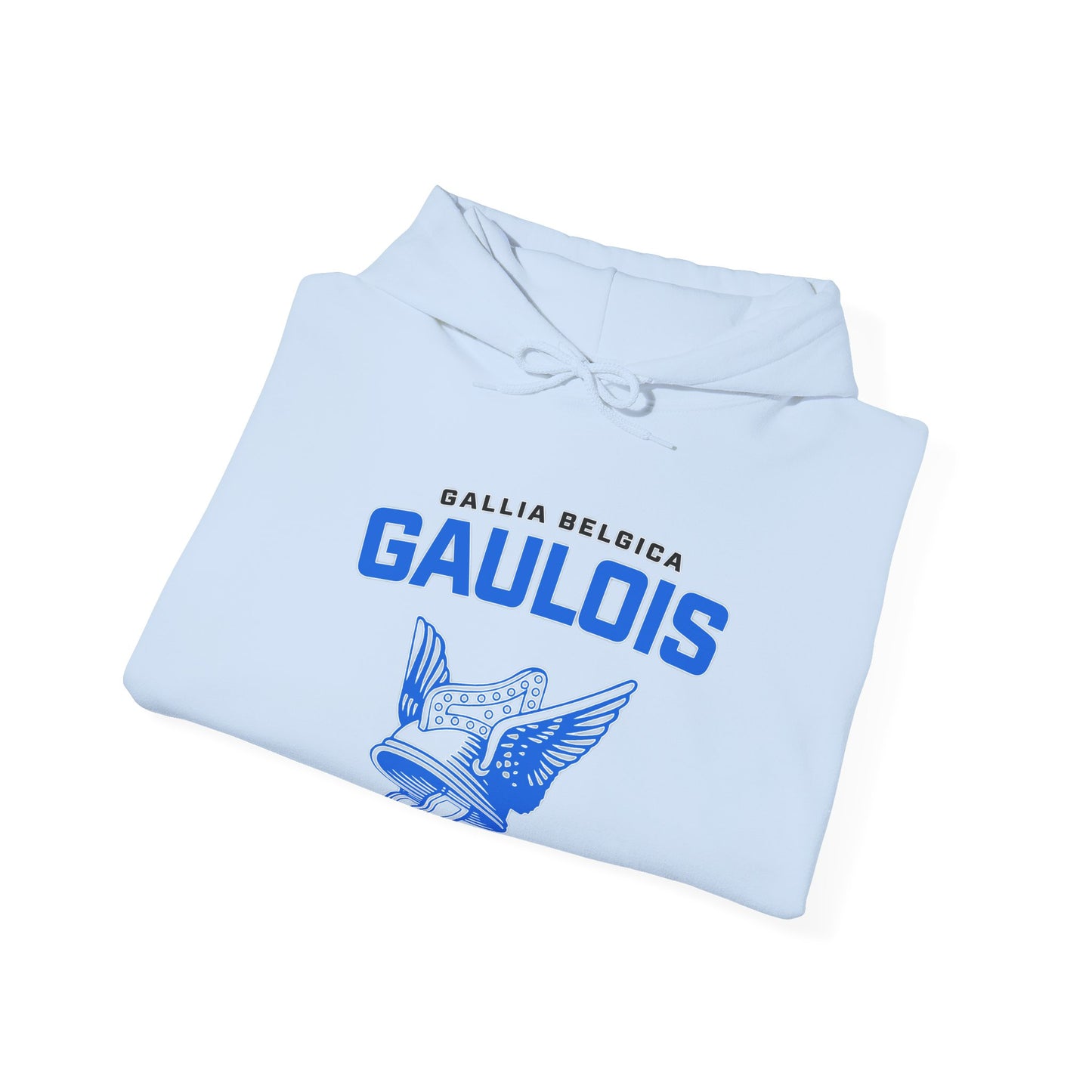 Gaulois Hoodie