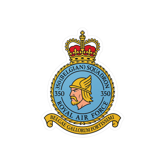 350th Squadron Sticker
