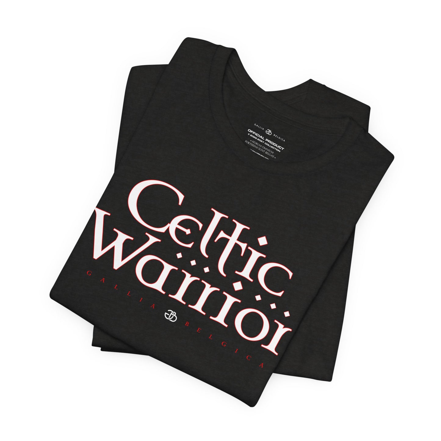 Celtic Warrior