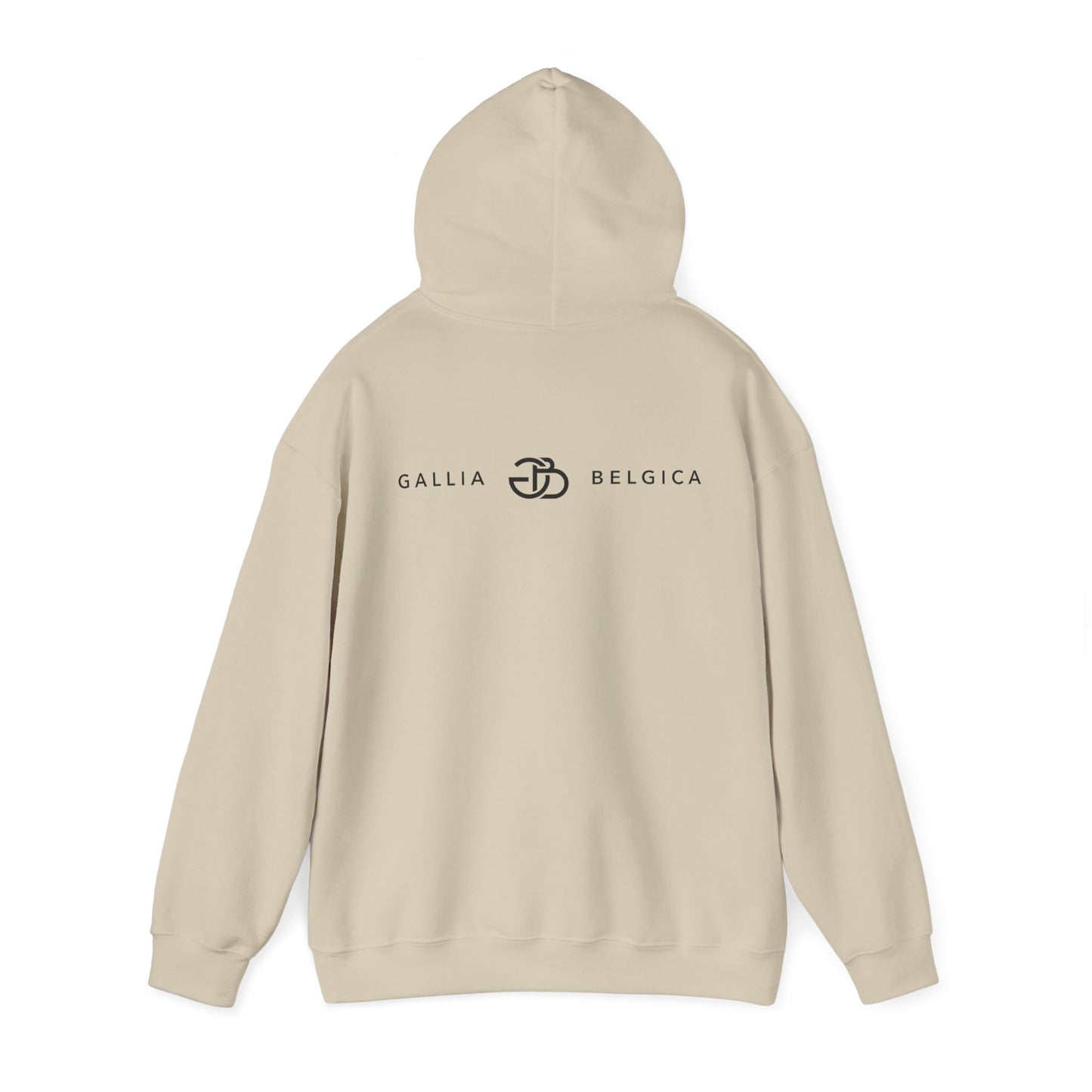 Recce Hoodie