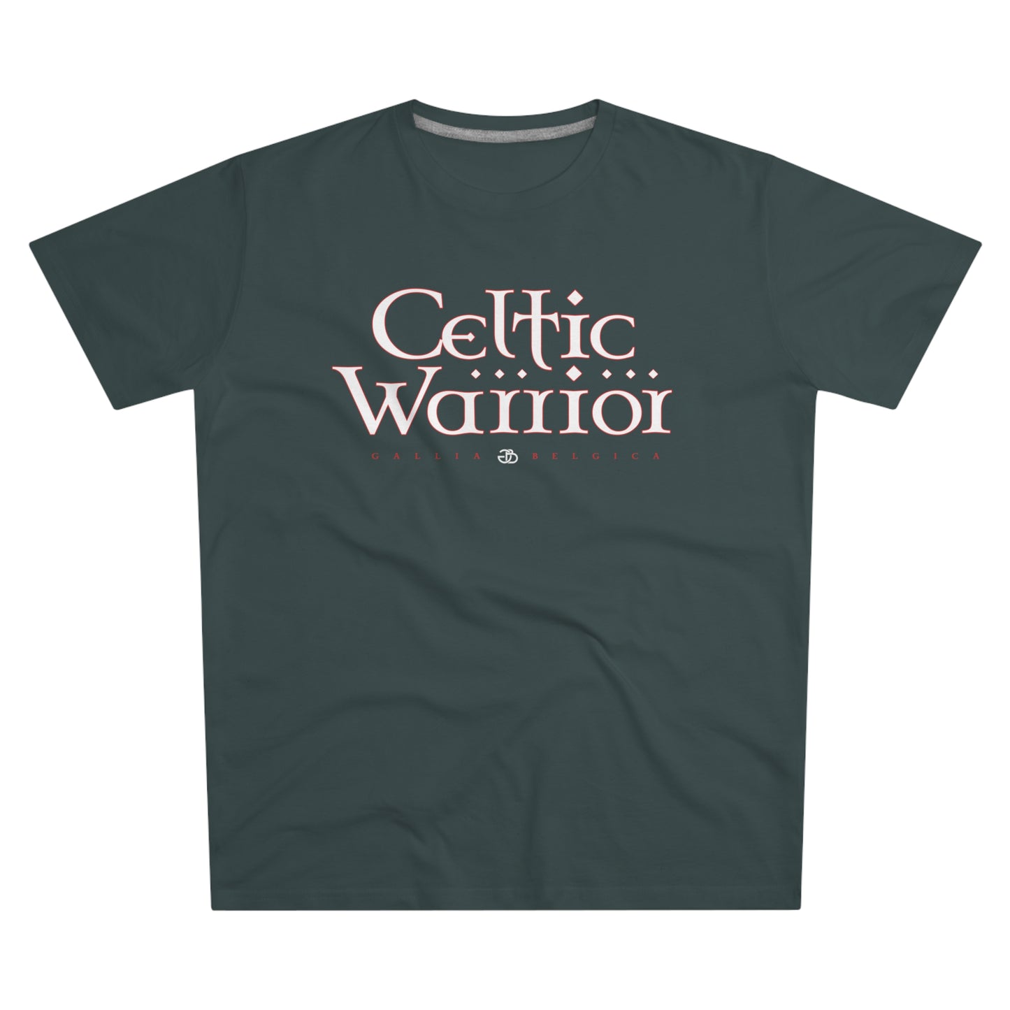 Celtic Warrior