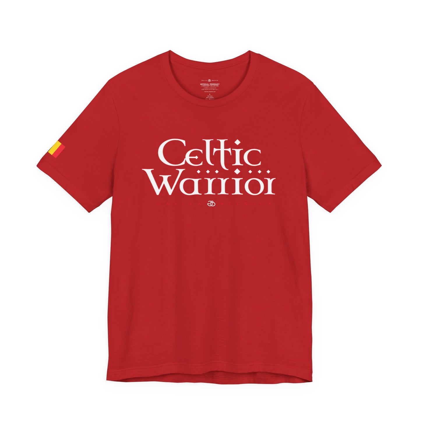 Celtic Warrior