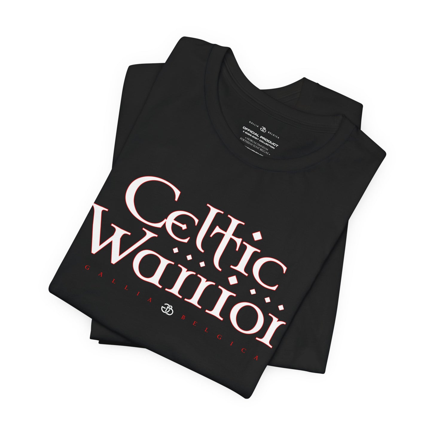 Celtic Warrior
