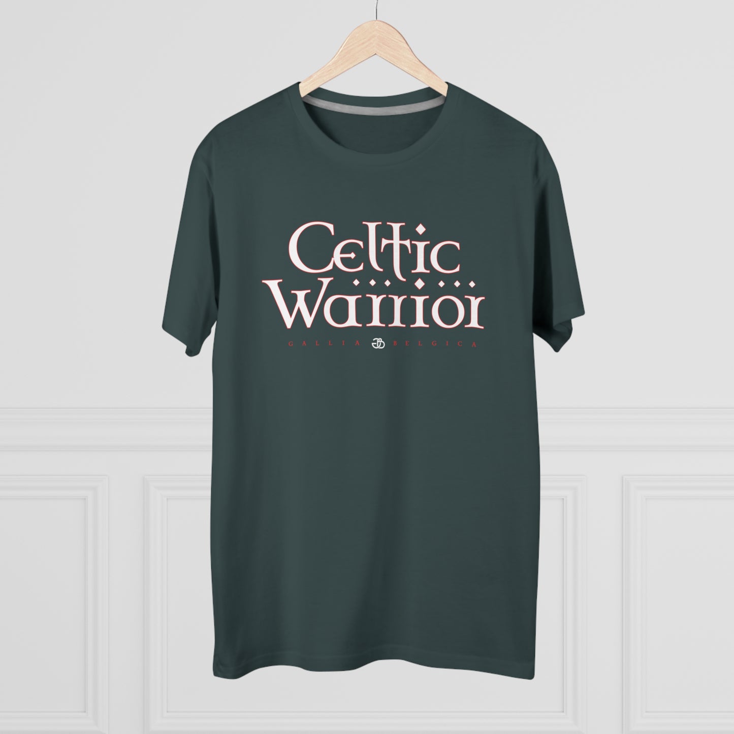 Celtic Warrior