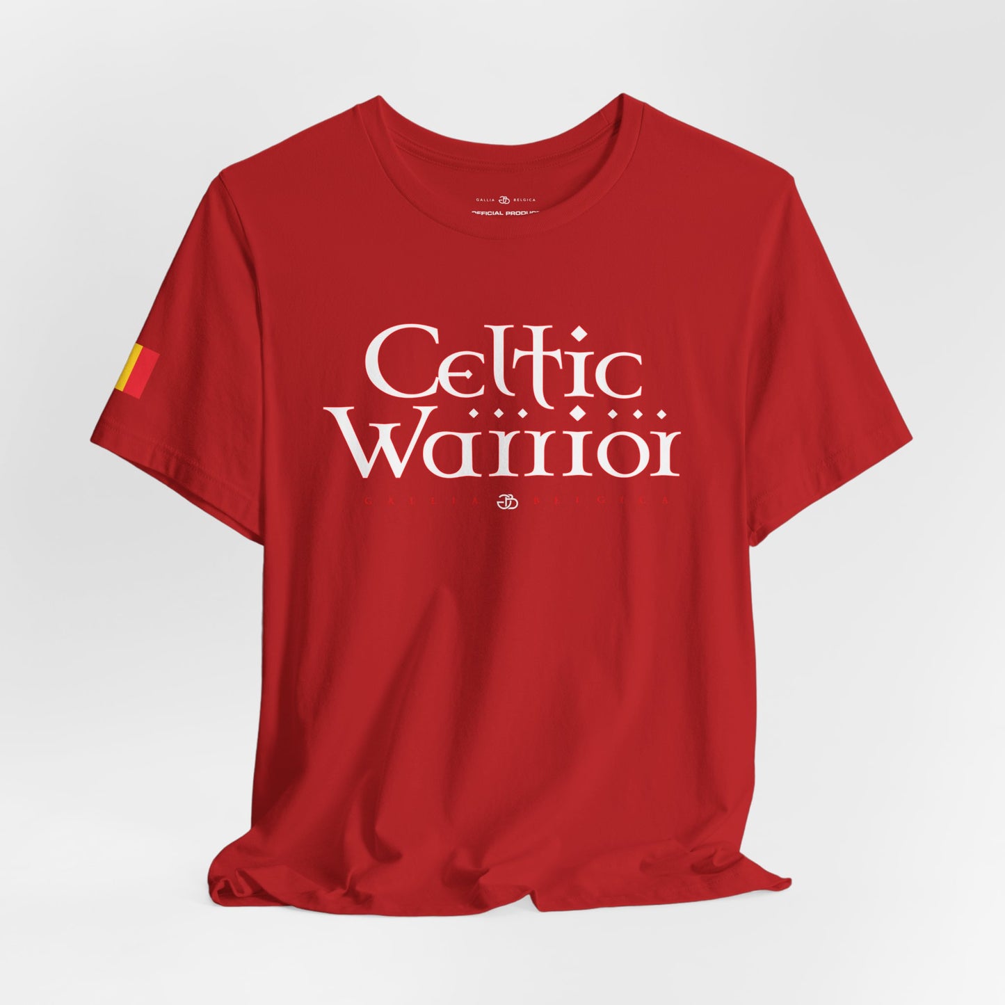 Celtic Warrior
