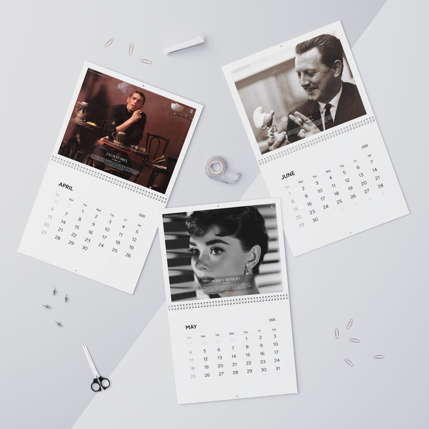 2025 Wall Calendar: 1 Month / 1 Famous Belgian