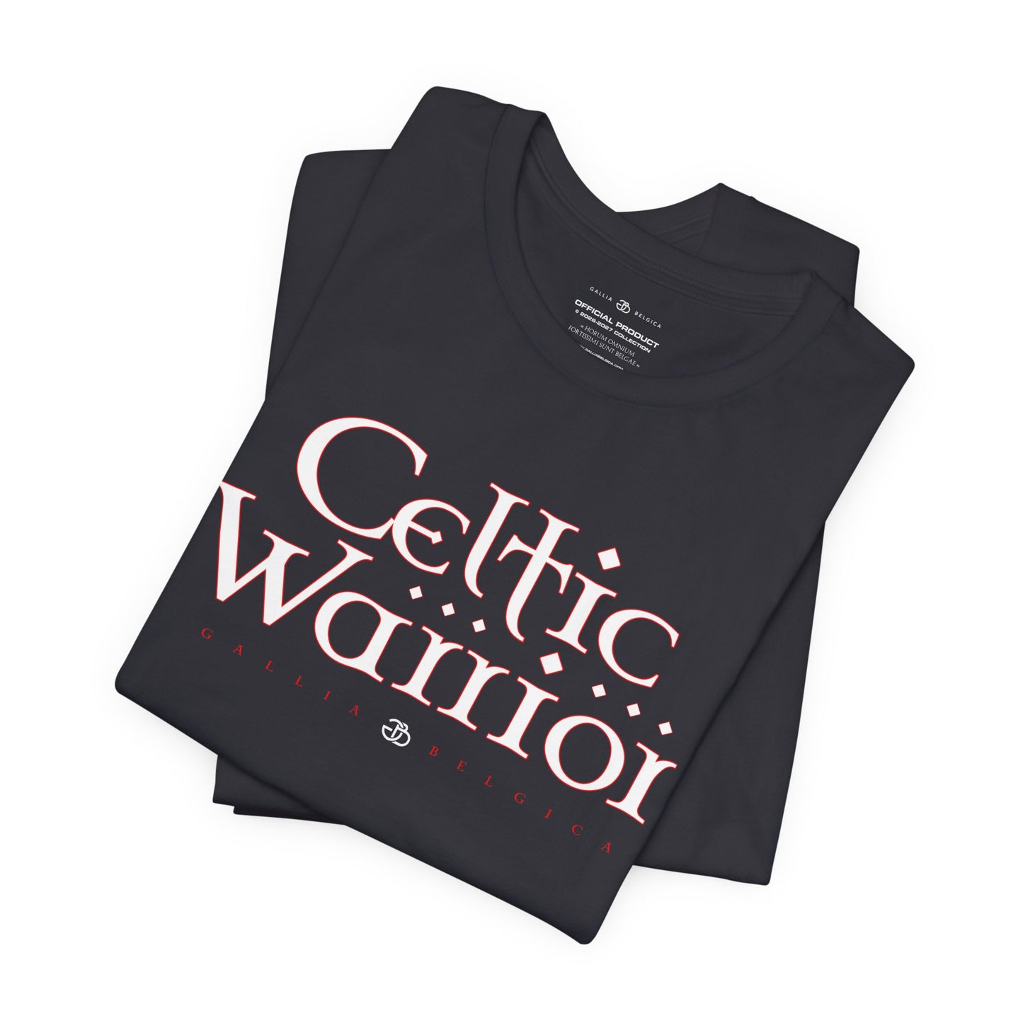 Celtic Warrior