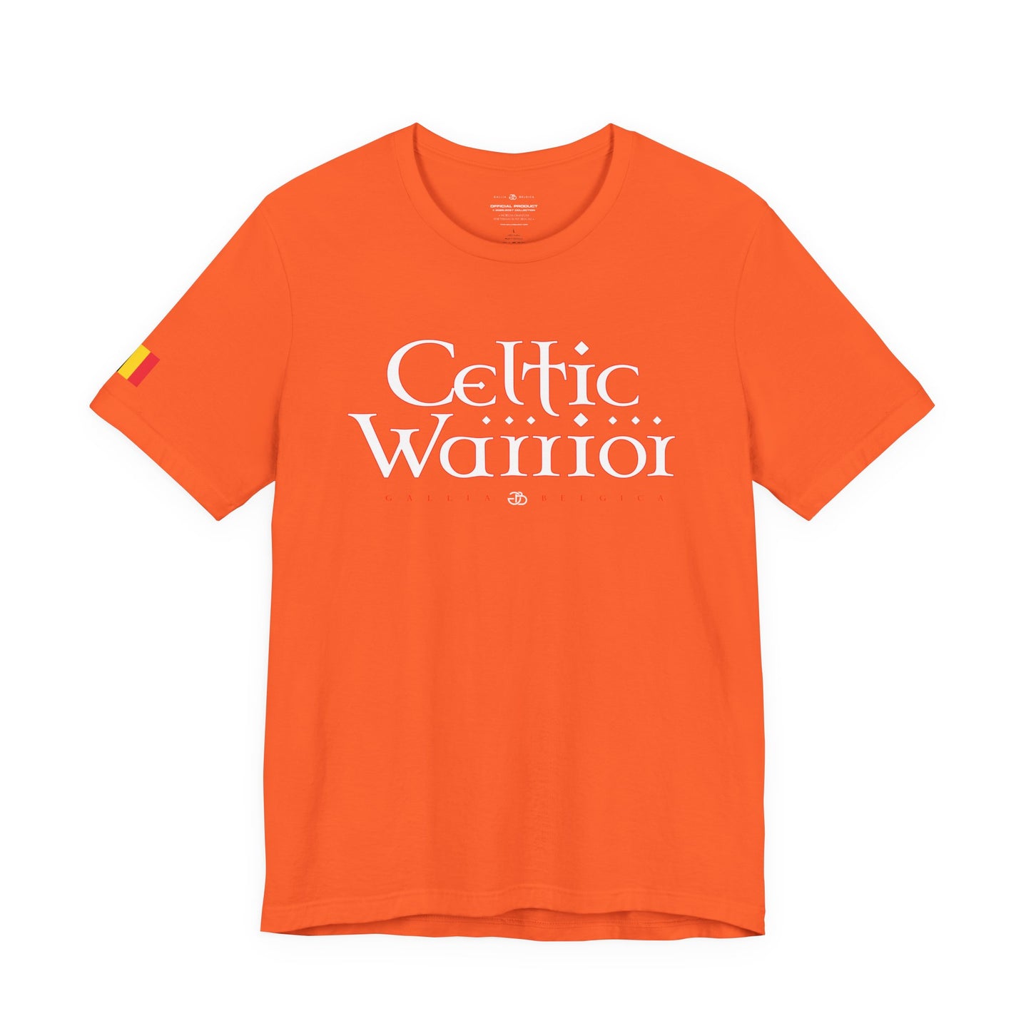 Celtic Warrior