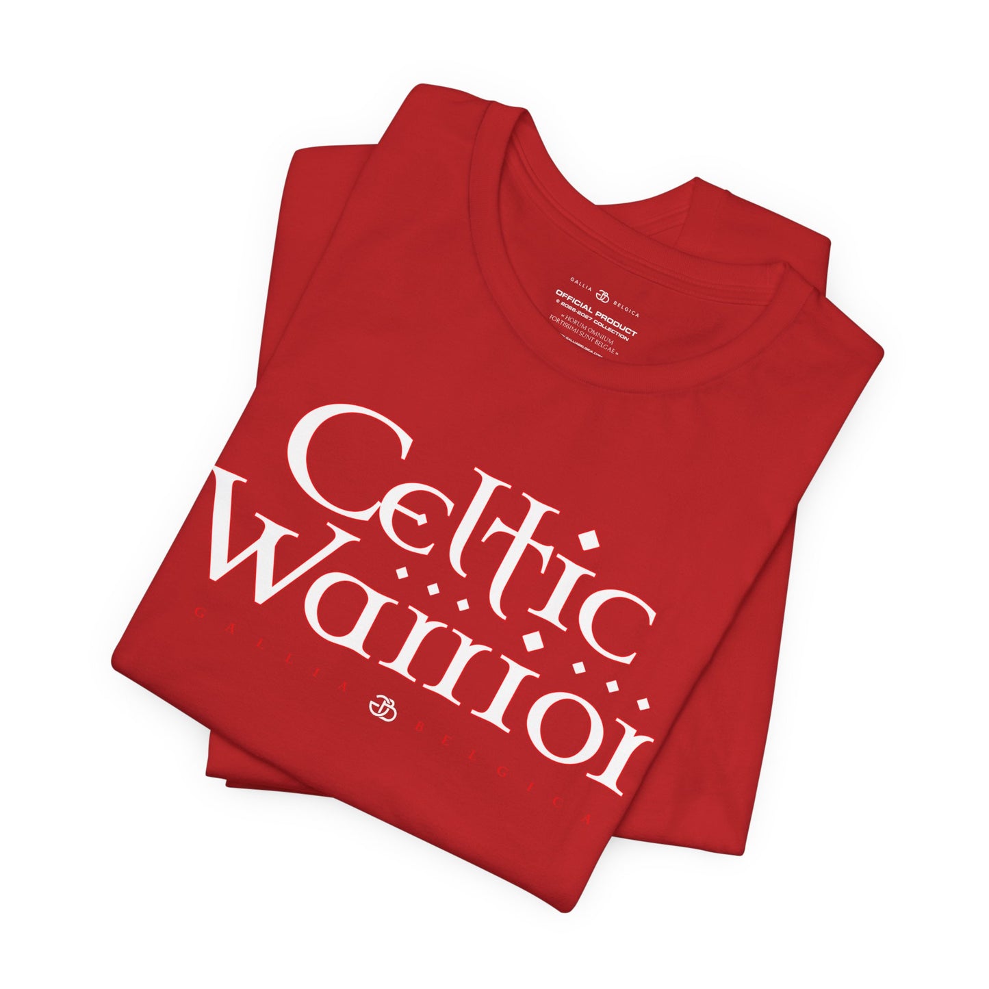 Celtic Warrior