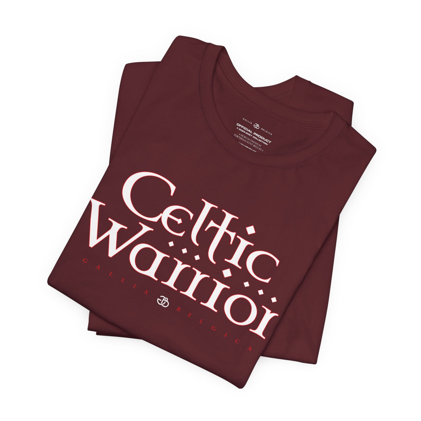 Celtic Warrior