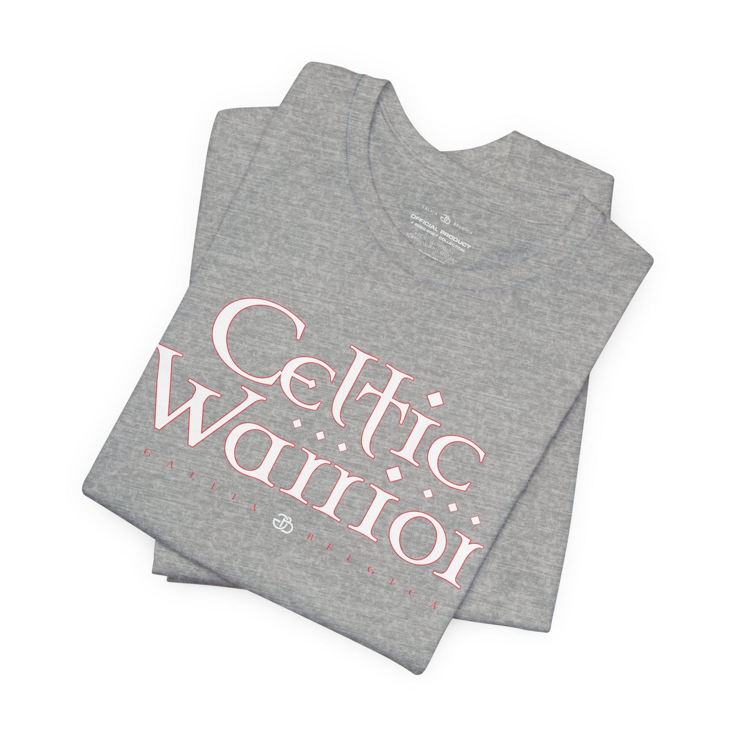 Celtic Warrior