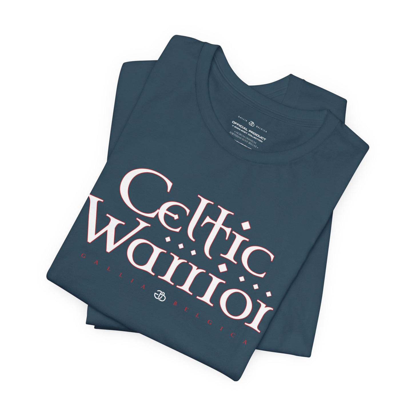 Celtic Warrior