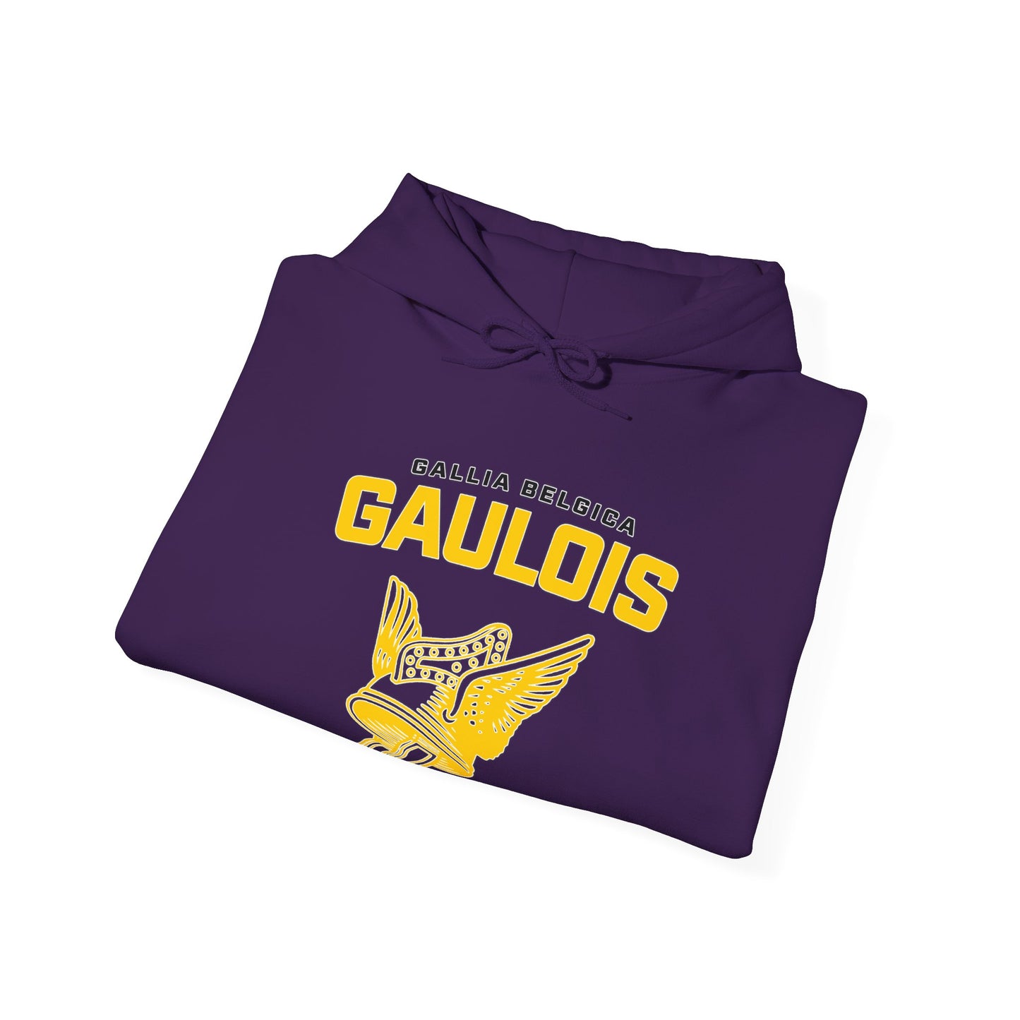 Gaulois Hoodie