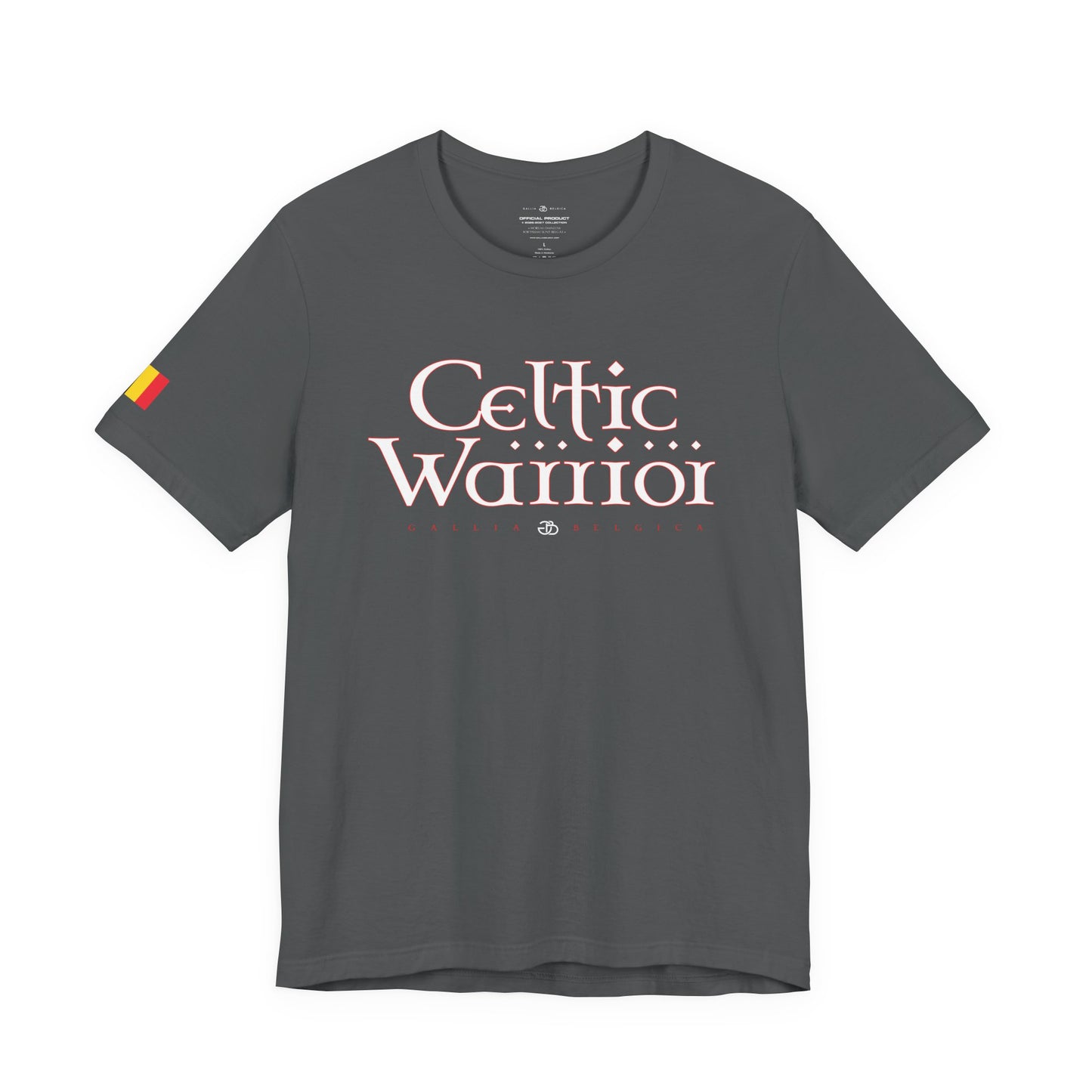 Celtic Warrior
