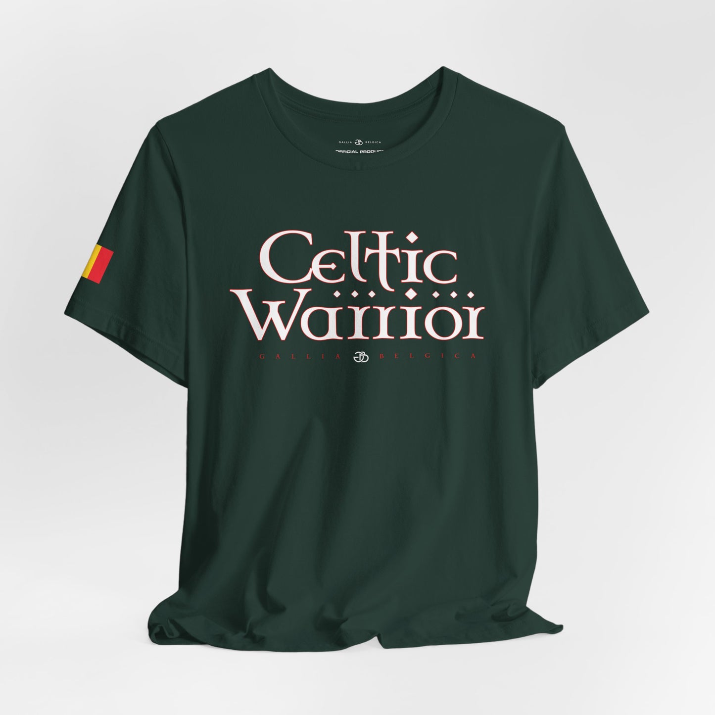 Celtic Warrior