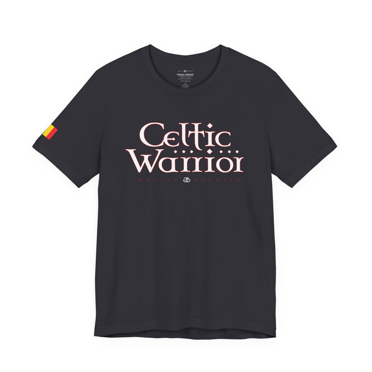 Celtic Warrior