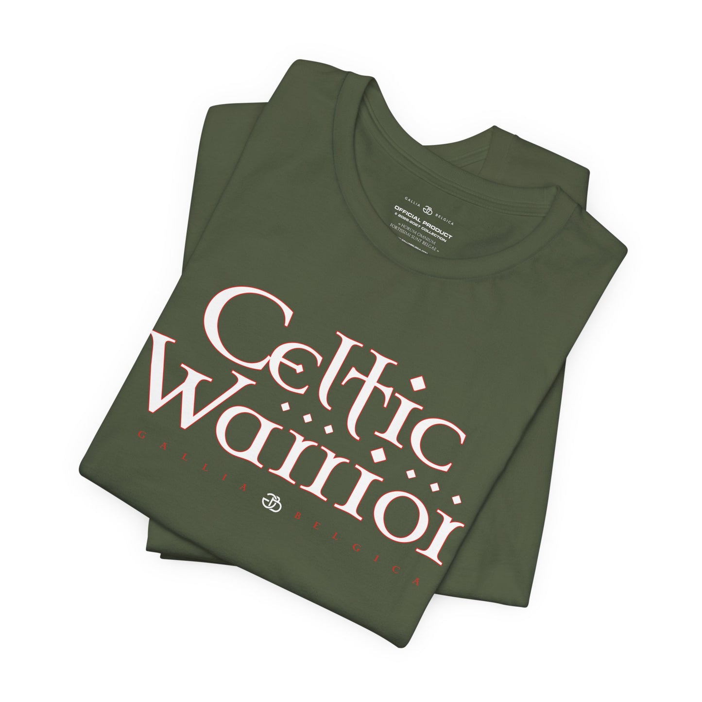 Celtic Warrior