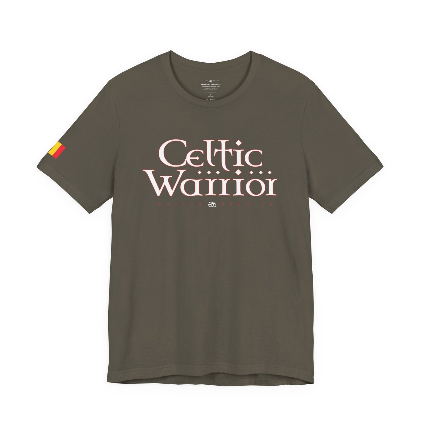 Celtic Warrior