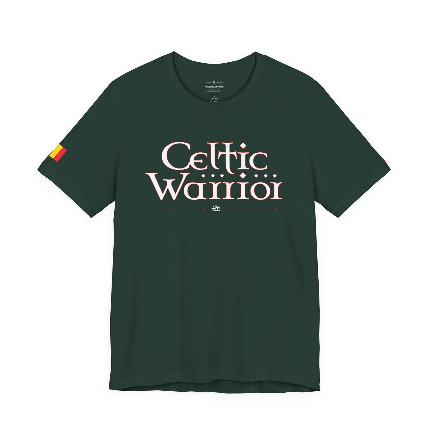 Celtic Warrior