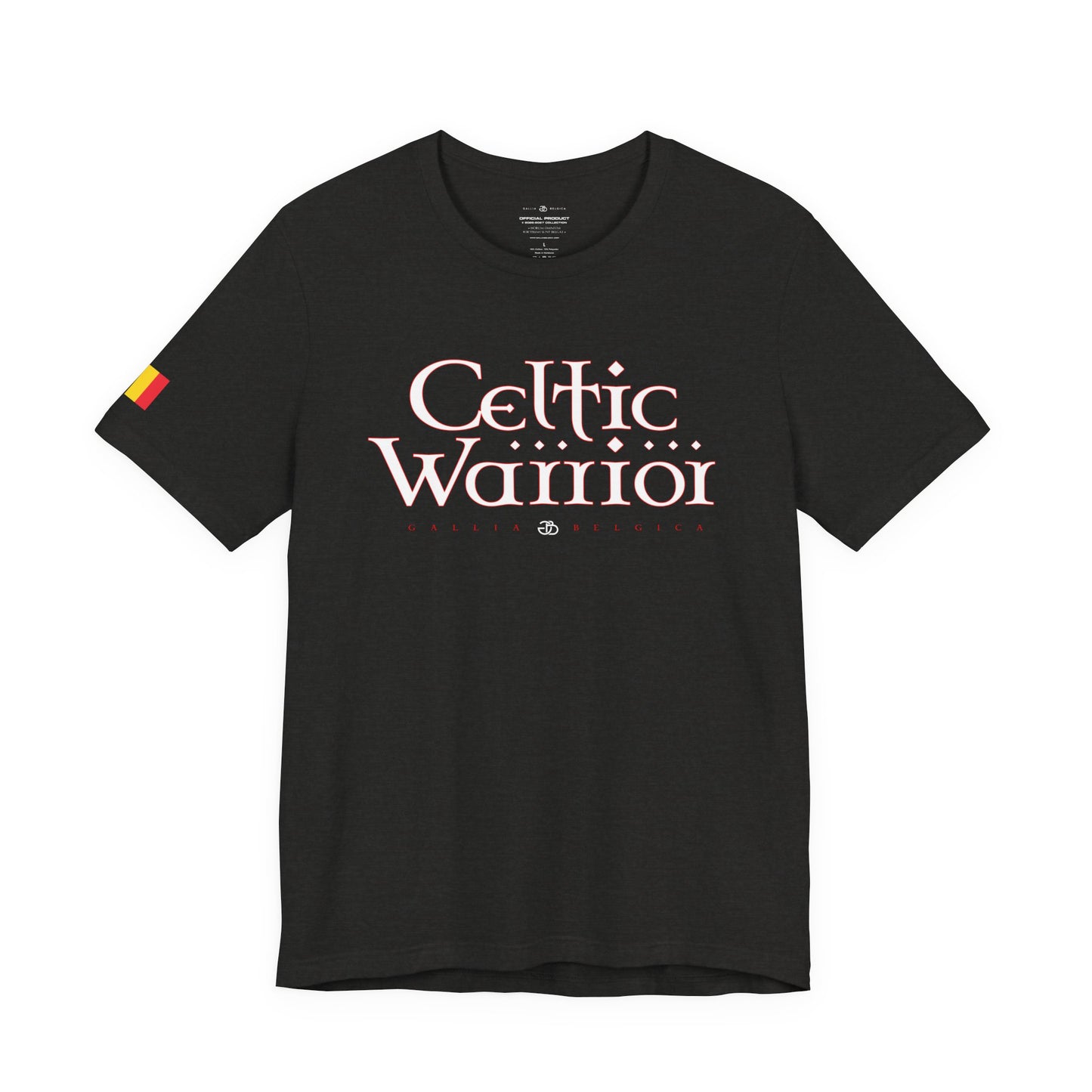 Celtic Warrior